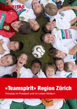 "Teamspirit" Region Zürich - Fairplay im Fussball und im Leben fördern - FVRZ