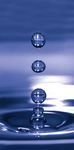 Dynamic Water Vapor Sorption - Multisample Moisture Sorption Analyzer - SPS - ProUmid