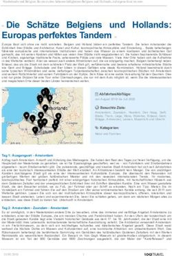 Die Schätze Belgiens und Hollands: Europas perfektes Tandem - Logitravel.de