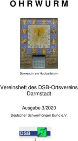 Vereinsheft des DSB-Ortsvereins Darmstadt Ausgabe 3/2020 - Verstehen