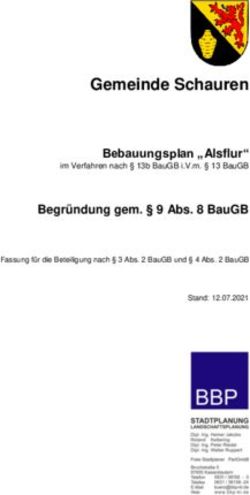 Gemeinde Schauren Bebauungsplan "Alsflur" Begründung gem. 9 Abs. 8 BauGB - Verbandsgemeinde Herrstein