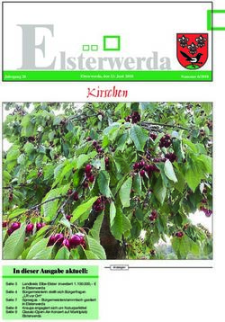 Elsterwerda für die Stadt - Stadt Elsterwerda