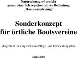 Sonderkonzept f&uuml;r &ouml;rtliche Bootsvereine - Naturschutzgro&szlig;projekt gesamtstaatlich repr&auml;sentativer Bedeutung "Hammeniederung"