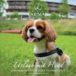 Urlaub mit Hund UND MARTIN R&Uuml;TTER DOGS TRAINING 2019 - WWW.LARIMARHOTEL.AT - Hotel Larimar