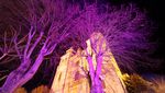 DIE WINTERfeste - www.malmedy-tourisme.be