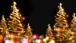 DIE WINTERfeste - www.malmedy-tourisme.be