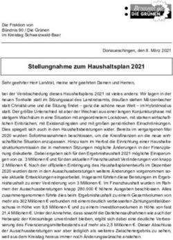 Stellungnahme zum Haushaltsplan 2021
