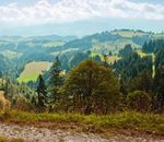 Das Emmental entdecken - Auf zum Echten! - Discover the Emmental
