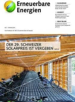 Erneuerbare Energien - SSES.ch