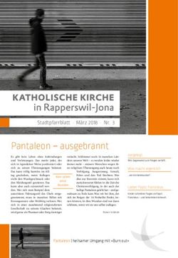 Pantaleon ausgebrannt - KRJ.ch