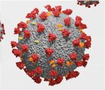 Inaktivierung von Coronaviren (a) im Alltag (b) bei der Produktion von Arzneimitteln aus Humanplasma - Pathogen Safety Group Biotest AG Night of ...