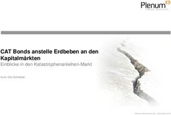 CAT Bonds anstelle Erdbeben an den Kapitalm&auml;rkten - Einblicke in den Katastrophenanleihen-Markt Autor: Dirk Schmelzer