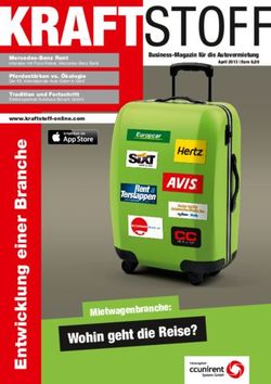 Wohin geht die Reise? - Mietwagenbranche