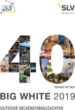 BIG WHITE 2019 YEARS OF SLV - KS Licht