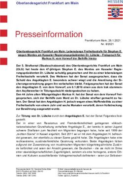 Oberlandesgericht Frankfurt am Main - Ordentliche ...