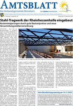 Stahl-Tragwerk der Rheinhessenhalle eingebaut - Verbandsgemeinde ...