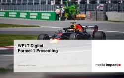 WELT Digital Formel 1 Presenting - Media Impact