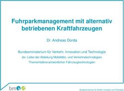 Fuhrparkmanagement mit alternativ betriebenen Kraftfahrzeugen - GSV
