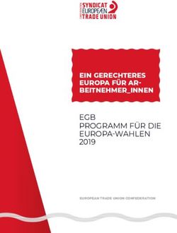EGB PROGRAMM F&Uuml;R DIE EUROPA-WAHLEN 2019 - EIN GERECHTERES EUROPA F&Uuml;R AR- BEITNEHMER_INNEN - ETUC