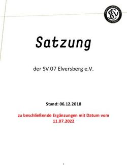 Der SV 07 Elversberg e.V - Stand: 06.12.2018 zu beschlie&szlig;ende Erg&auml;nzungen mit Datum vom 11.07.2022 - SV Elversberg