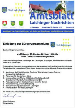 Einladung zur B&uuml;rgerversammlung - Stadt Laichingen