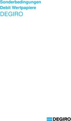 DEGIRO Sonderbedingungen Debit Wertpapiere