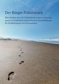 Der B&uuml;rger-Fu&szlig;abdruck - Eine Analyse des CO2-Fu&szlig;abdrucks unseres Konsums, unserer Investitionen und politischen Entscheidungen f&uuml;r Gro&szlig;britannien ...