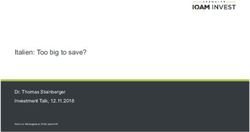 Italien: Too big to save? - Dr. Thomas Steinberger Investment Talk, 12.11.2018 - Sp&auml;ngler IQAM Invest