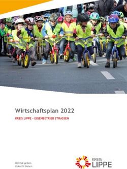 Wirtschaftsplan 2022 KREIS LIPPE - EIGENBETRIEB STRASSEN