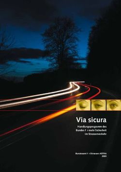 Via sicura Handlungsprogramm des Bundes für mehr Sicherheit im Strassenverkehr