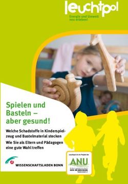 Spielen und Basteln - aber gesund! - Welche Schadstoffe in Kinderspielzeug und Bastelmaterial stecken Wie Sie als Eltern und P&auml;dagogen eine gute ...