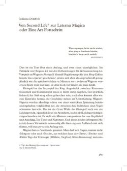 Von second Life zur Laterna Magica oder eine art Fortschritt