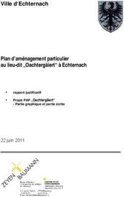Ville d'Echternach Plan d'am&eacute;nagement particulier au lieu-dit "Oachterg&auml;iert" &agrave; Echternach