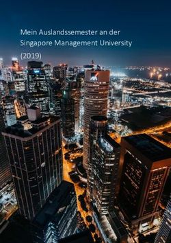 Mein Auslandssemester an der Singapore Management University (2019)
