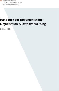 Handbuch zur Dokumentation - Organisation & Datenverwaltung - Jänner 2022 - Sozialministerium