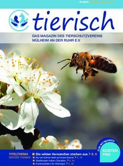 Tierisch - Tierschutzverein M&uuml;lheim ...