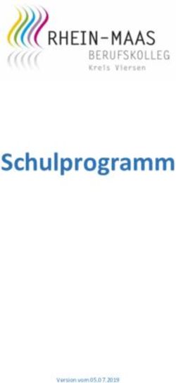 Schulprogramm - Version vom 05.07.2019 - Rhein-Maas Berufskolleg