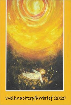 Weihnachtspfarrbrief 2020 - Bistum Fulda