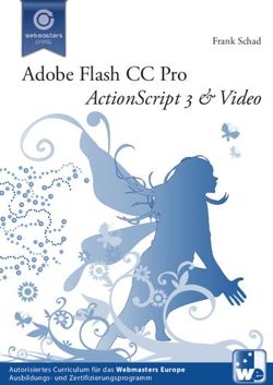 Adobe Flash CC Pro ActionScript & Video - Frank Schad