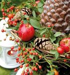 Lilienpost - sch&ouml;nstes Der Herbst - am-koenigsfloss.de