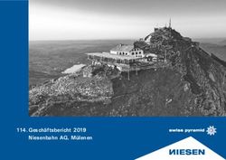 Gesch&auml;ftsbericht 2019 Niesenbahn AG, M&uuml;lenen