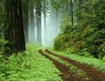 INNOVATION - WIESO DENN IMMER TURNHALLE? - CHRISTIAN SIEGEL - LSB ...