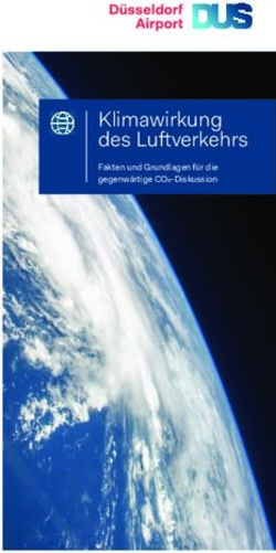 Klimawirkung des Luftverkehrs - D&uuml;sseldorf Airport