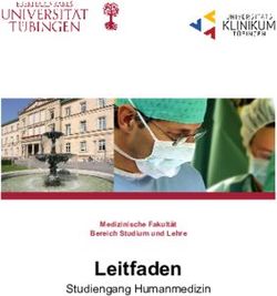 Leitfaden BILDBEREICH - Studiengang Humanmedizin - Universitätsklinikum Tübingen