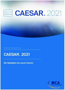 CAESAR. 2021 Die Highlights der neuen Version - PRODUKTINFORMATION - MCA GmbH