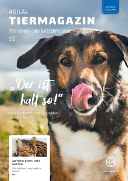 "Der ist halt so!" - F&Uuml;R HUNDE- UND KATZENFREUNDE - Was bestimmt den Charakter unserer Hunde? - AGILA