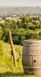 Wiener HEURIGEN GUIDE 2018 - Wiener Wein