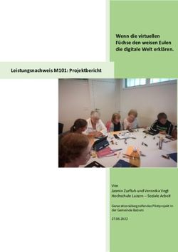 Wenn die virtuellen Füchse den weisen Eulen die digitale Welt erklären. Leistungsnachweis M101: Projektbericht