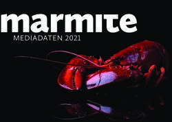 MEDIADATEN 2021 - Marmite