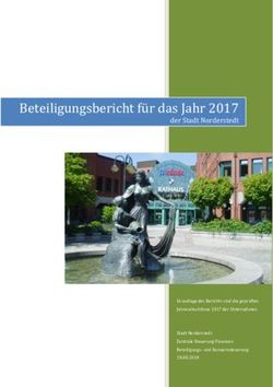 Beteiligungsbericht für das Jahr 2017 - der Stadt Norderstedt